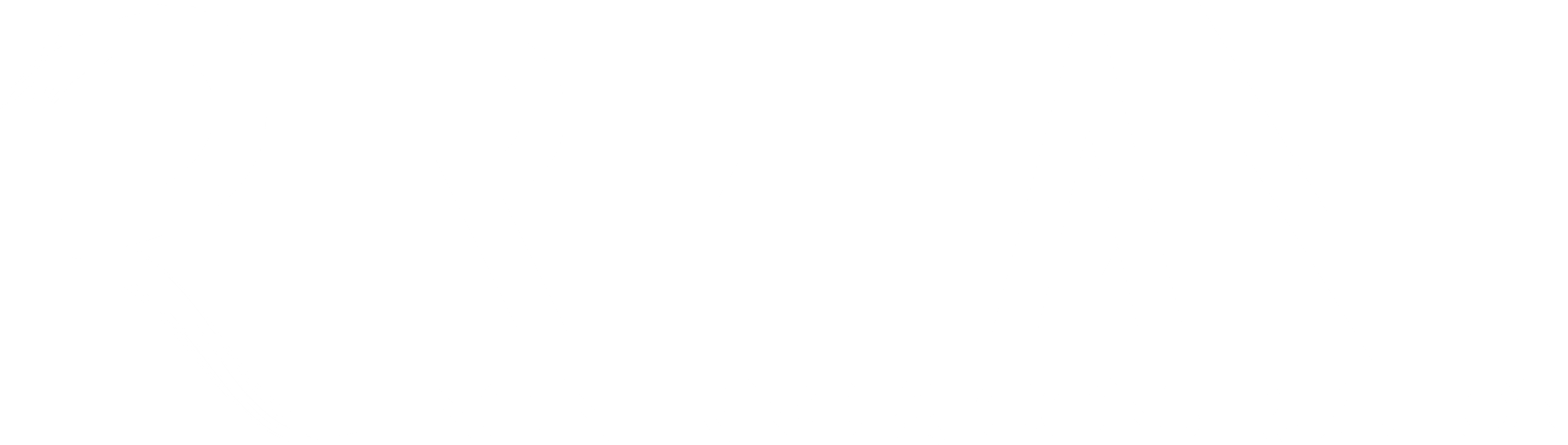 Reliant Engineering & Construction